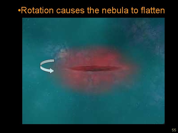  • Rotation causes the nebula to flatten 55 55 