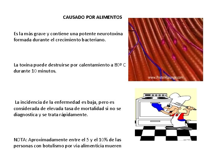 CAUSADO POR ALIMENTOS Es la más grave y contiene una potente neurotoxina formada durante