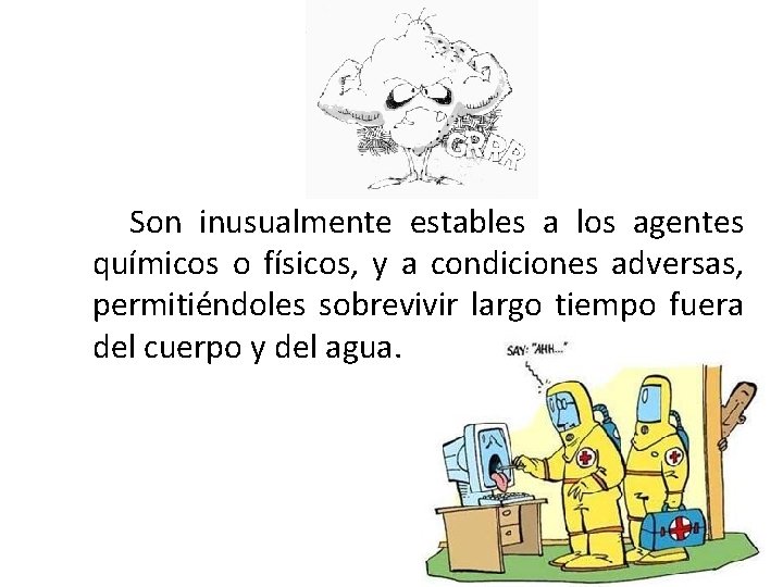 Son inusualmente estables a los agentes químicos o físicos, y a condiciones adversas, permitiéndoles