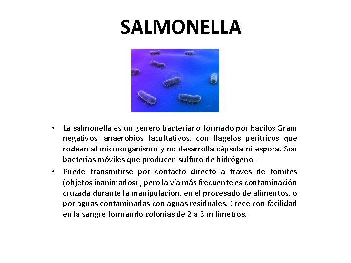 SALMONELLA • La salmonella es un género bacteriano formado por bacilos Gram negativos, anaerobios