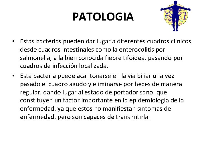 PATOLOGIA • Estas bacterias pueden dar lugar a diferentes cuadros clínicos, desde cuadros intestinales