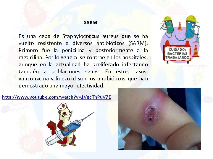 SARM Es una cepa de Staphylococcus aureus que se ha vuelto resistente a diversos