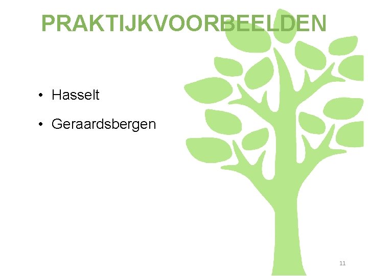 PRAKTIJKVOORBEELDEN • Hasselt • Geraardsbergen 11 