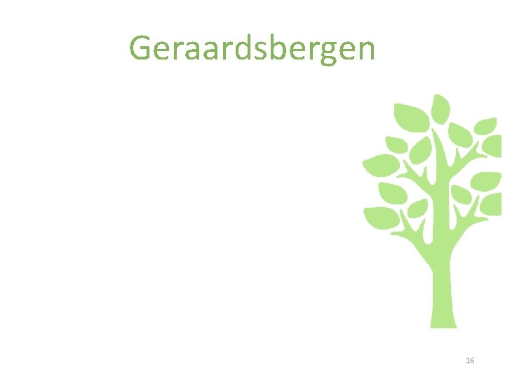 Geraardsbergen 16 
