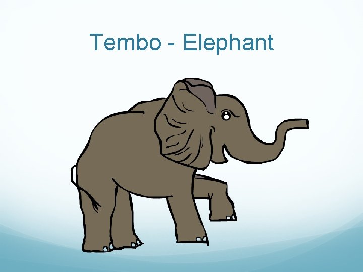 Tembo - Elephant 