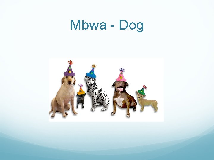 Mbwa - Dog 