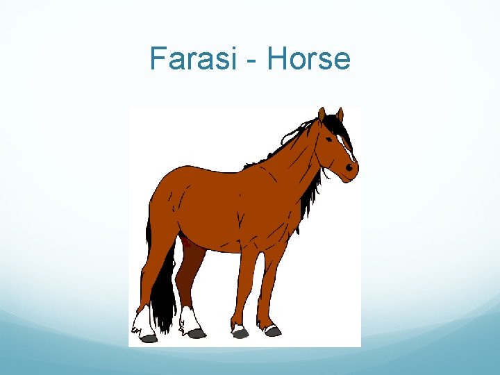 Farasi - Horse 