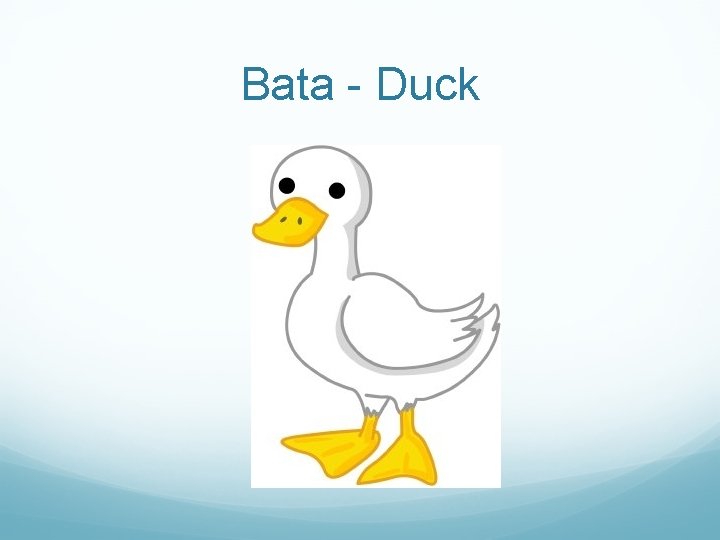 Bata - Duck 