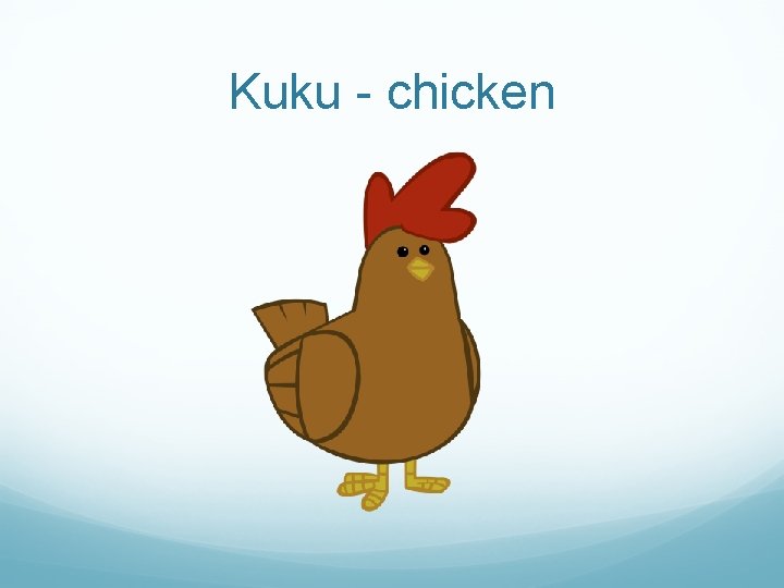 Kuku - chicken 