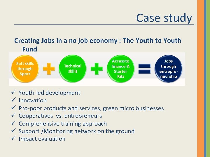 Case study Creating Jobs in a no job economy : The Youth to Youth