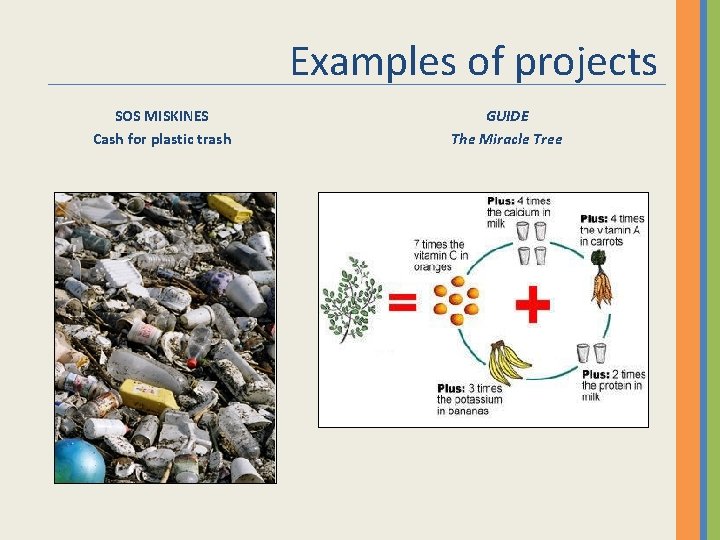 Examples of projects SOS MISKINES Cash for plastic trash GUIDE The Miracle Tree 