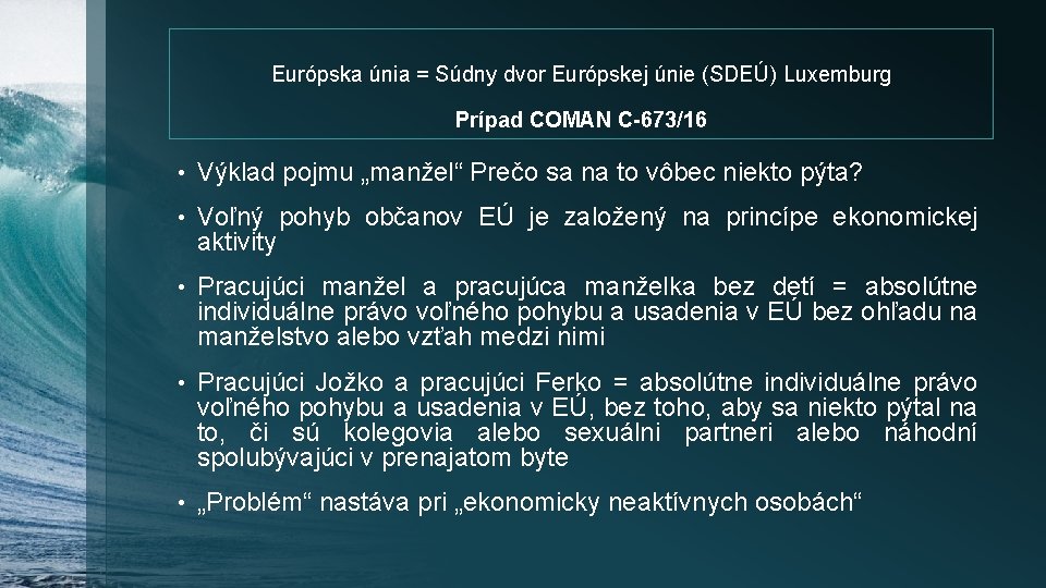 Európska únia = Súdny dvor Európskej únie (SDEÚ) Luxemburg Prípad COMAN C-673/16 • Výklad