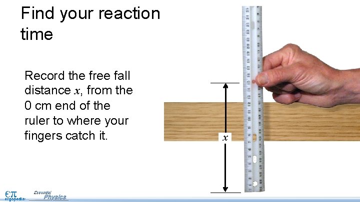 Find your reaction time Record the free fall distance x, from the 0 cm Find your reaction time Record the free fall distance x, from the 0 cm
