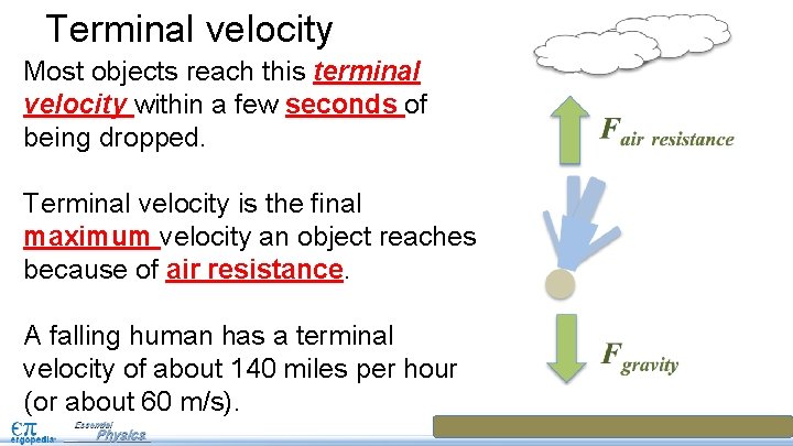 Terminal velocity Most objects reach this terminal velocity within a few seconds of being Terminal velocity Most objects reach this terminal velocity within a few seconds of being
