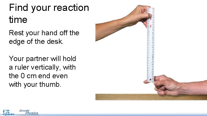 Find your reaction time Rest your hand off the edge of the desk. Your Find your reaction time Rest your hand off the edge of the desk. Your