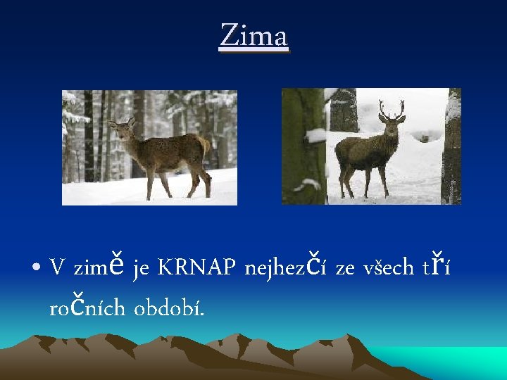 Zima • V zimě je KRNAP nejhezčí ze všech tří ročních období. 