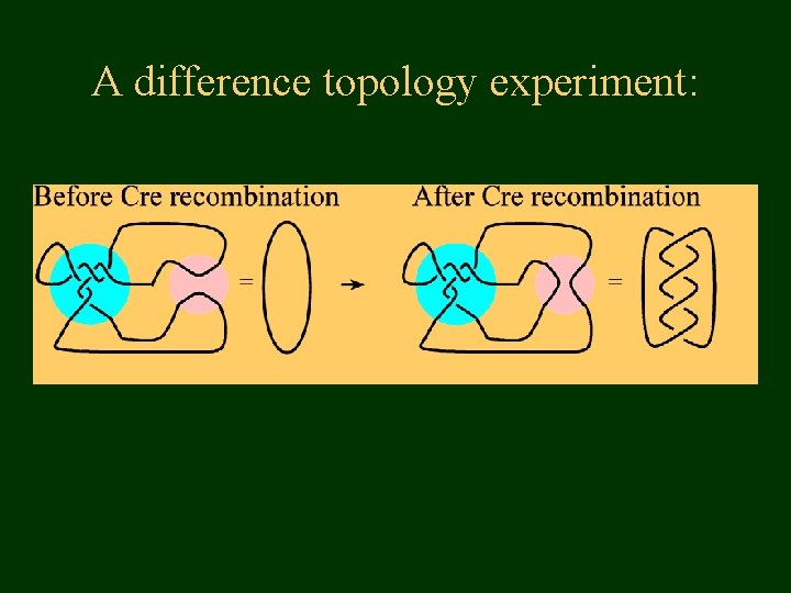 A difference topology experiment: 