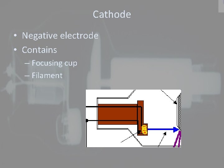 Cathode • Negative electrode • Contains – Focusing cup – Filament 