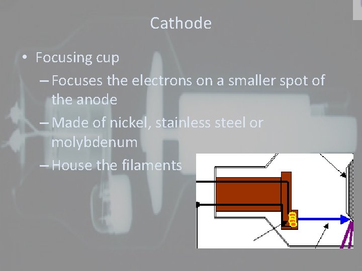 Cathode • Focusing cup – Focuses the electrons on a smaller spot of the