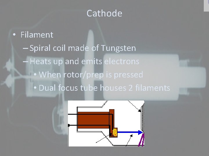 Cathode • Filament – Spiral coil made of Tungsten – Heats up and emits