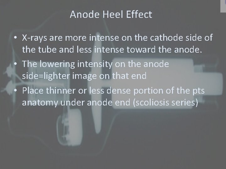 Anode Heel Effect • X-rays are more intense on the cathode side of the