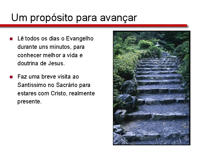 Um propósito para avançar n Lê todos os dias o Evangelho durante uns minutos,