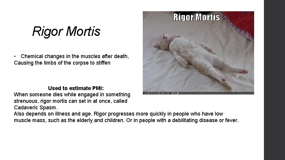 Rigor Mortis • Chemical changes in the muscles after death, Causing the limbs of