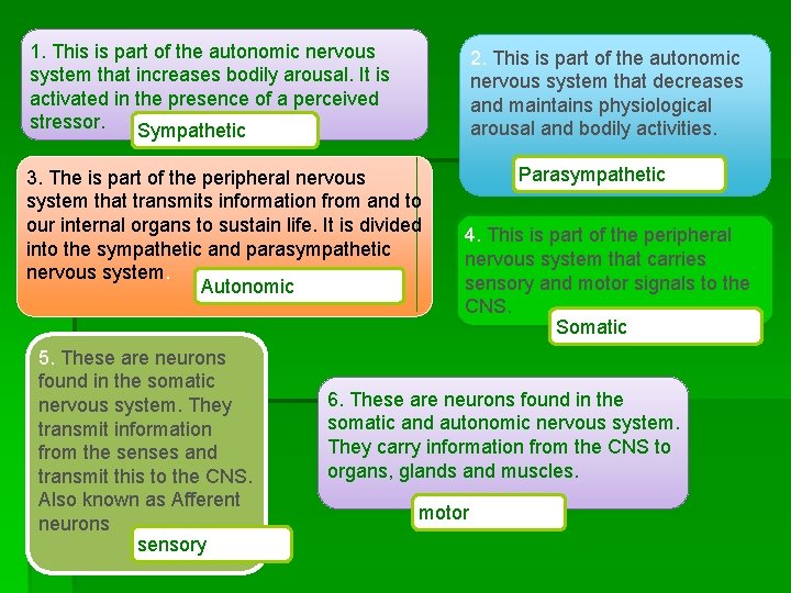 1. This is part of the autonomic nervous system that increases bodily arousal. It
