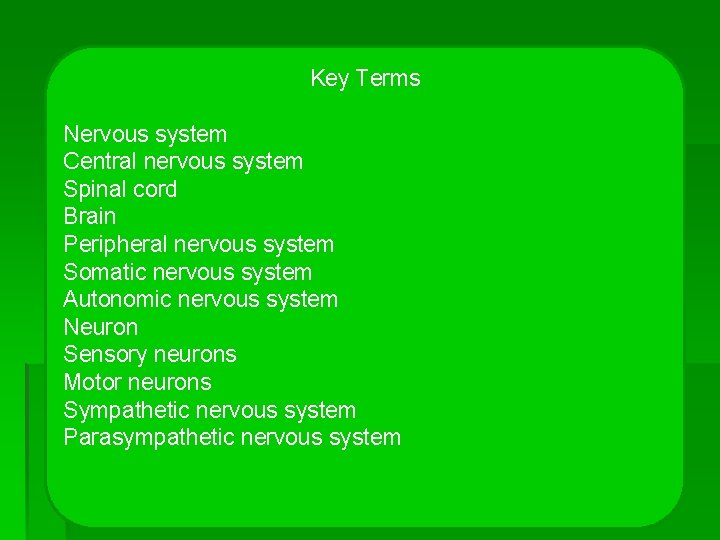 Key Terms Nervous system Central nervous system Spinal cord Brain Peripheral nervous system Somatic