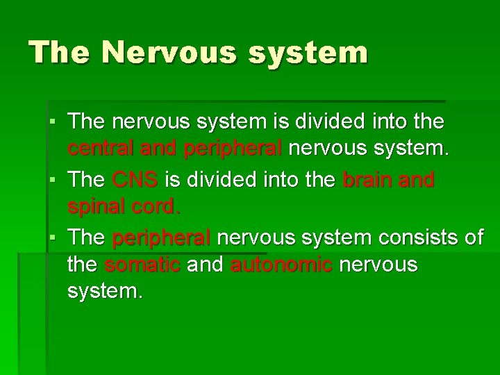 The Nervous system ▪ The nervous system is divided into the central and peripheral