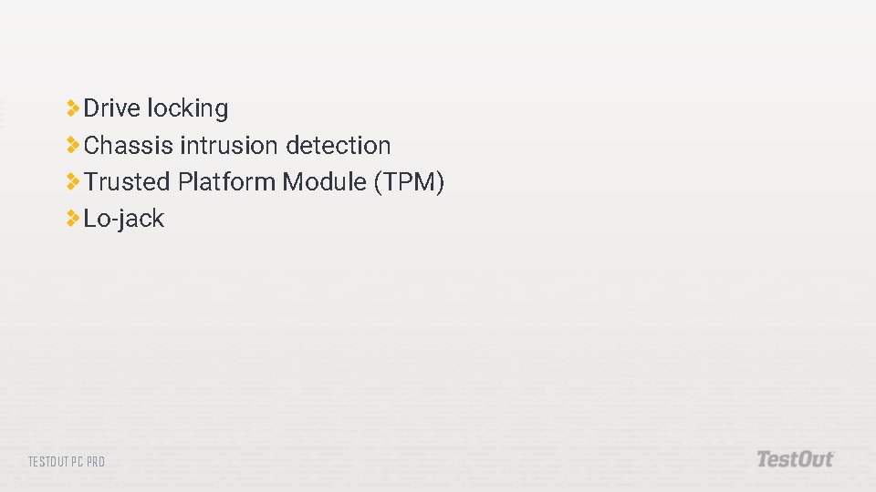 Drive locking Chassis intrusion detection Trusted Platform Module (TPM) Lo-jack TESTOUT PC PRO Drive locking Chassis intrusion detection Trusted Platform Module (TPM) Lo-jack TESTOUT PC PRO