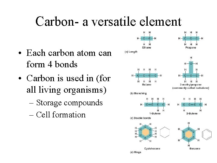 Carbon- a versatile element • Each carbon atom can form 4 bonds • Carbon