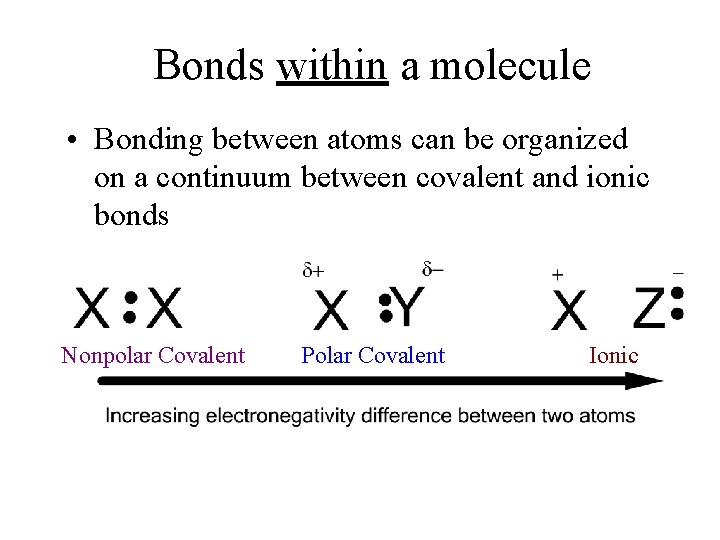 Bonds within a molecule • Bonding between atoms can be organized on a continuum