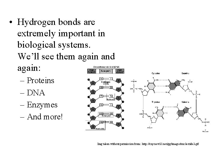  • Hydrogen bonds are extremely important in biological systems. We’ll see them again