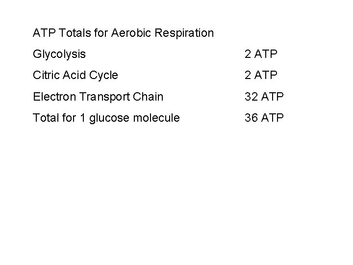 ATP Totals for Aerobic Respiration Glycolysis 2 ATP Citric Acid Cycle 2 ATP Electron ATP Totals for Aerobic Respiration Glycolysis 2 ATP Citric Acid Cycle 2 ATP Electron