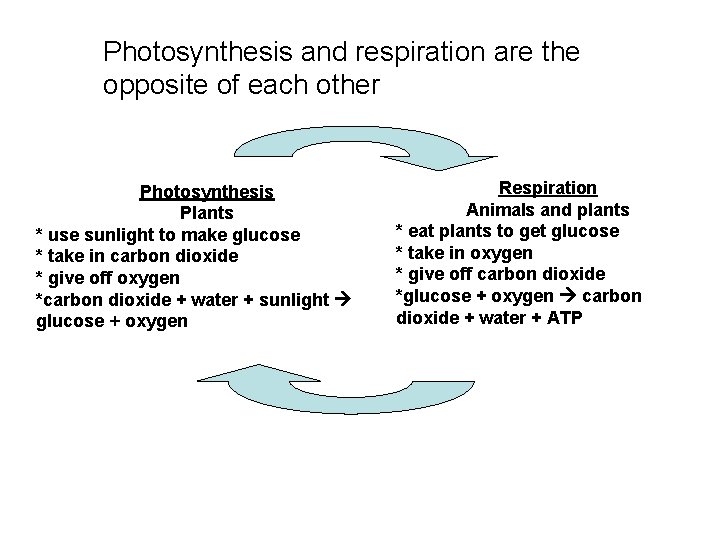 Photosynthesis and respiration are the opposite of each other Photosynthesis Plants * use sunlight Photosynthesis and respiration are the opposite of each other Photosynthesis Plants * use sunlight