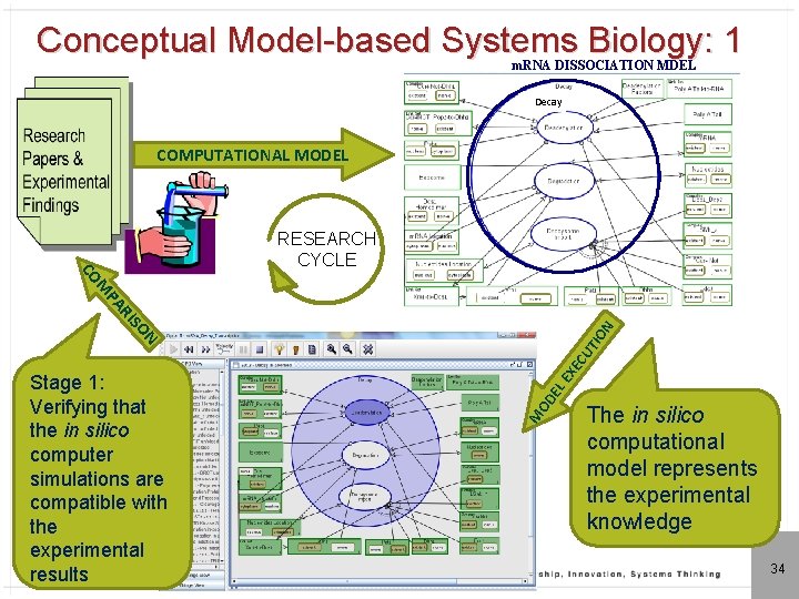 Conceptual Model-based Systems Biology: 1 m. RNA DISSOCIATION MDEL Decay COMPUTATIONAL MODEL M CO