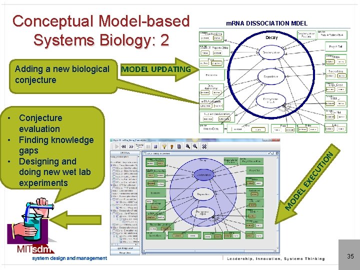 Conceptual Model-based Systems Biology: 2 Adding a new biological conjecture m. RNA DISSOCIATION MDEL