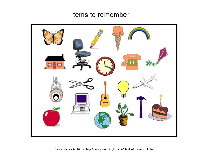 Items to remember. . . Neuroscience for Kids - http: //faculty. washington. edu/chudler/puzmatch 1.