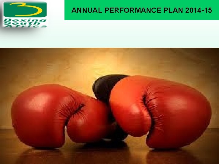 ANNUAL PERFORMANCE PLAN 2014 -15 13 