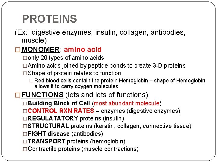 PROTEINS (Ex: digestive enzymes, insulin, collagen, antibodies, muscle) � MONOMER: amino acid �only 20
