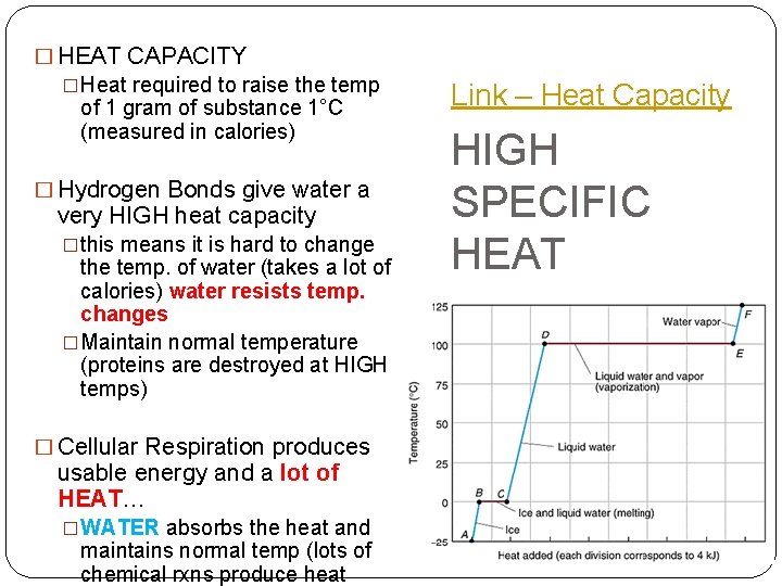 � HEAT CAPACITY �Heat required to raise the temp of 1 gram of substance