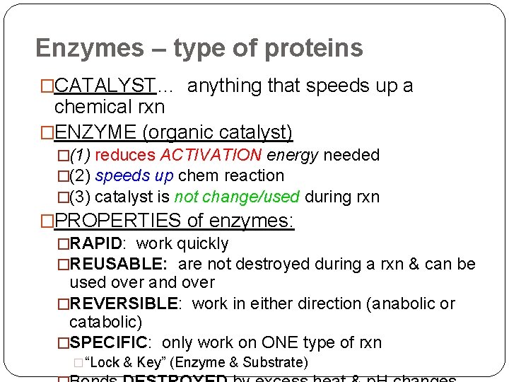 Enzymes – type of proteins �CATALYST… anything that speeds up a chemical rxn �ENZYME