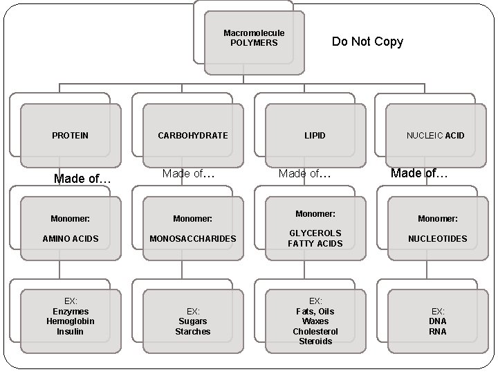 Macromolecule POLYMERS PROTEIN Made of… CARBOHYDRATE Made of… Do Not Copy LIPID Made of…