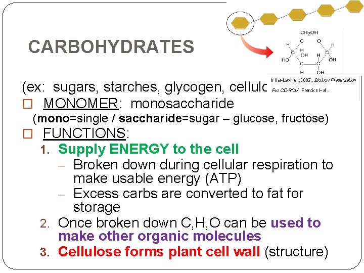 CARBOHYDRATES (ex: sugars, starches, glycogen, cellulose) � MONOMER: monosaccharide (mono=single / saccharide=sugar – glucose,