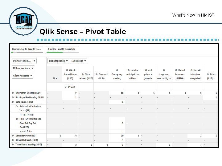 What’s New in HMIS? Qlik Sense – Pivot Table 