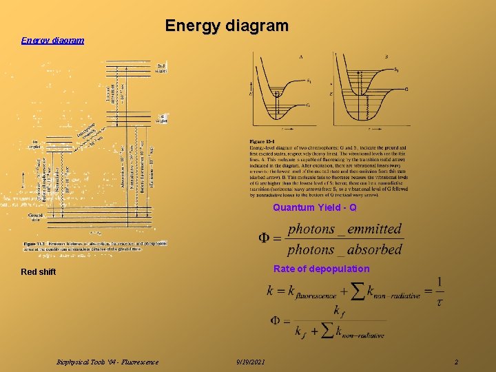 Energy diagram Quantum Yield - Q Rate of depopulation Red shift Biophysical Tools '04