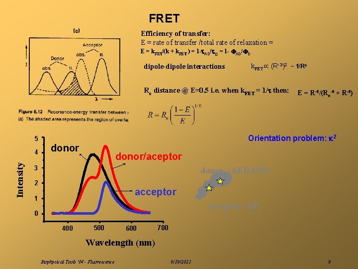 FRET Efficiency of transfer: E = rate of transfer /total rate of relaxation =