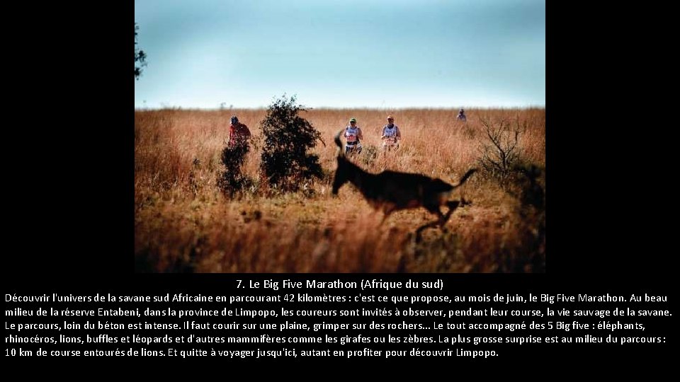 7. Le Big Five Marathon (Afrique du sud) Découvrir l'univers de la savane sud