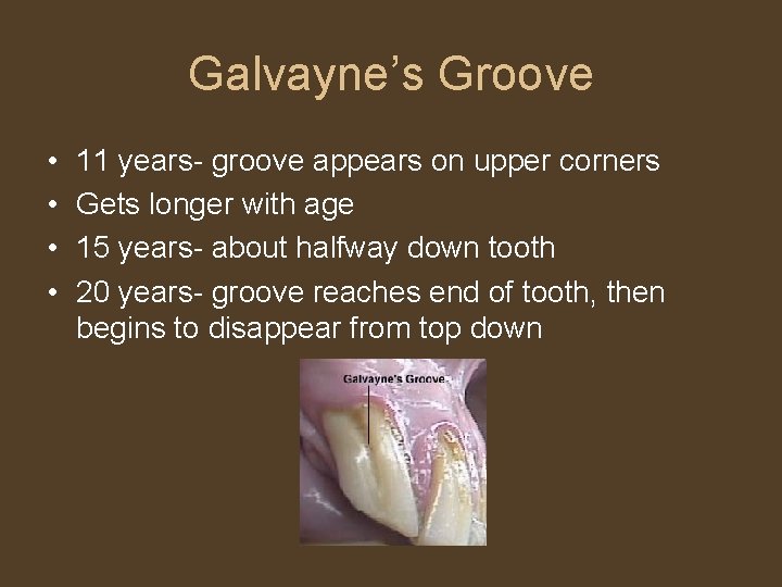 Galvayne’s Groove • • 11 years- groove appears on upper corners Gets longer with